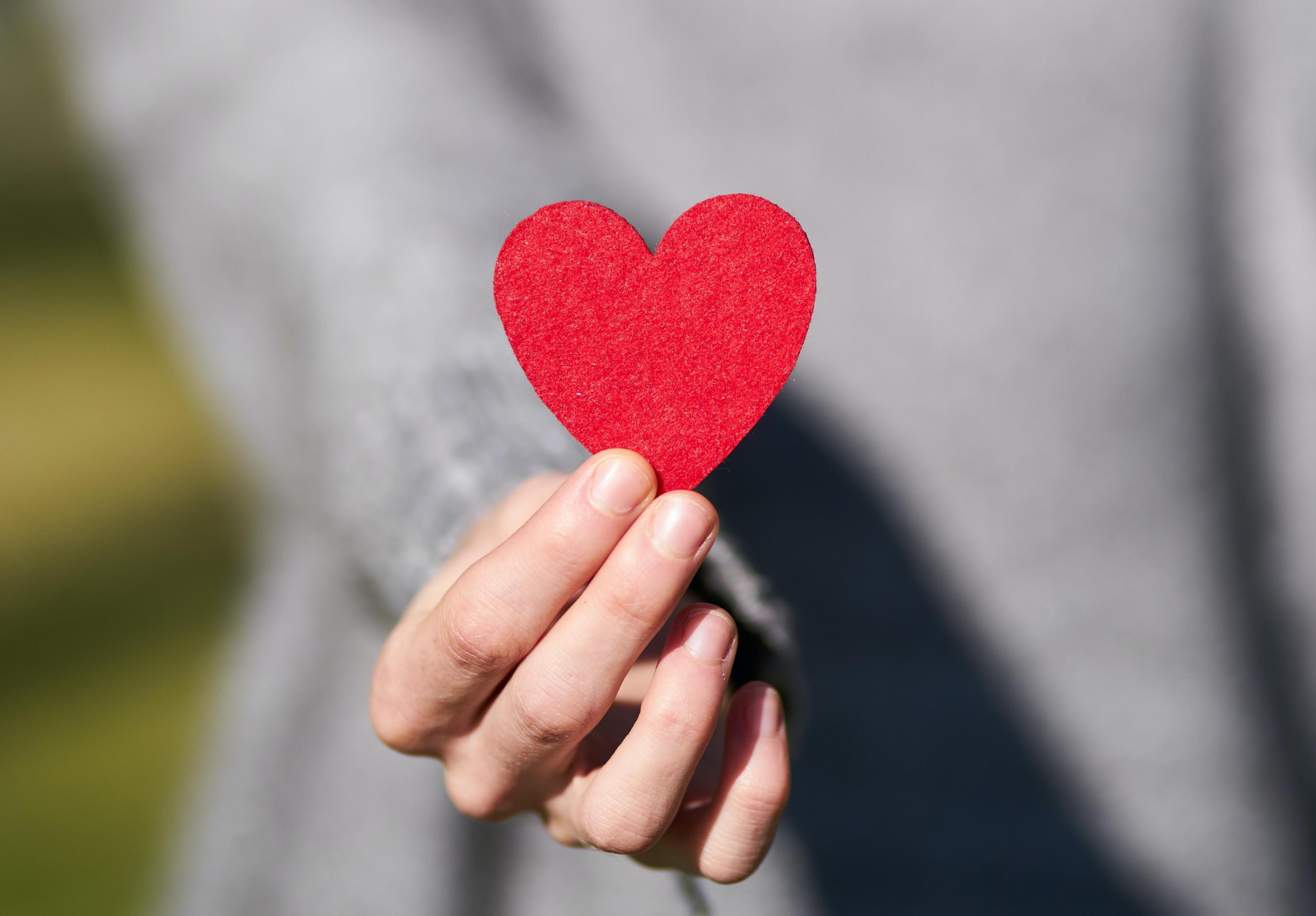 ��������ְ���������¶ȵ�AG�콢��