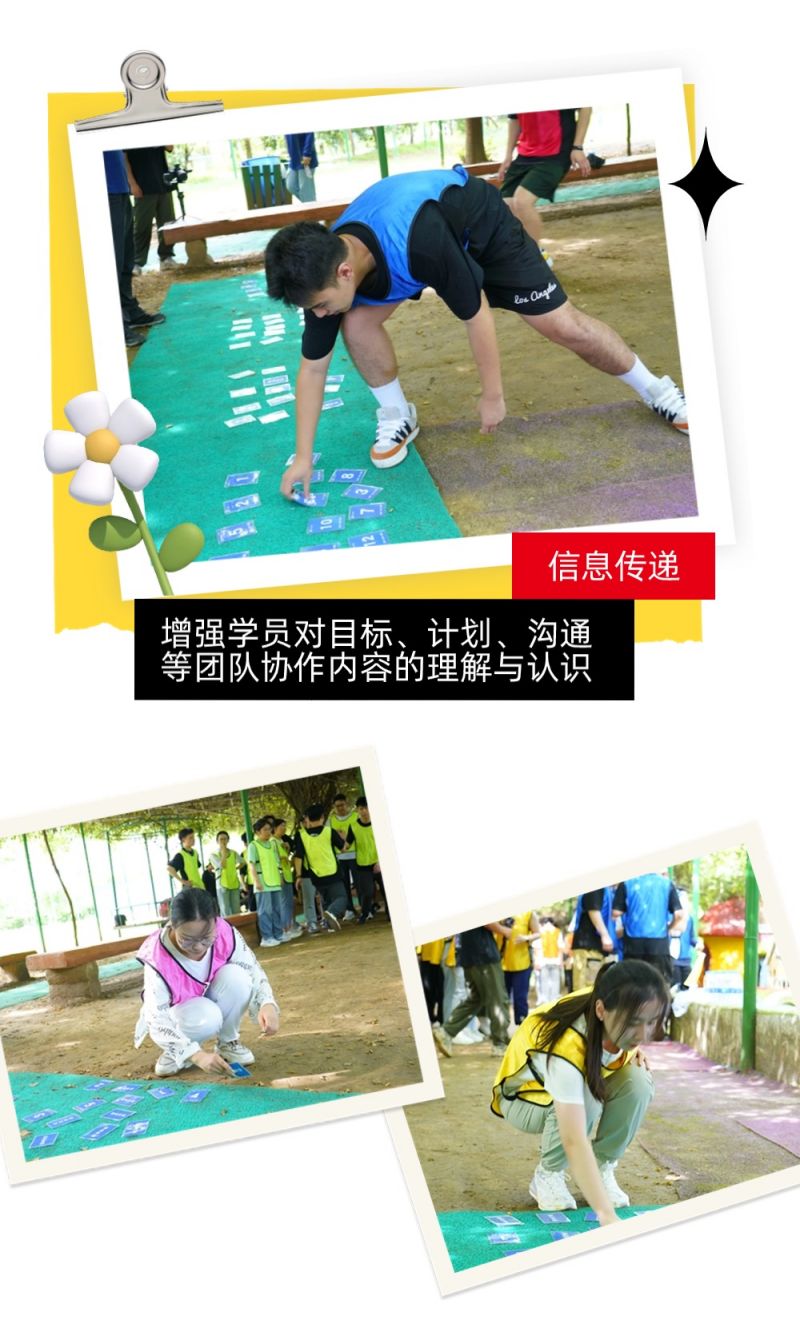 �������ơ�����ǰ��|2024����������չ���ʼ���